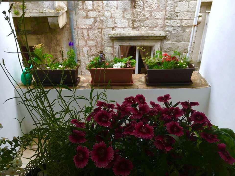 Puntin Rooms Sobe Korčula Zewnętrze zdjęcie